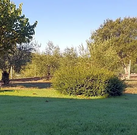 Nocleg ze śniadaniem Casamagliana 3*